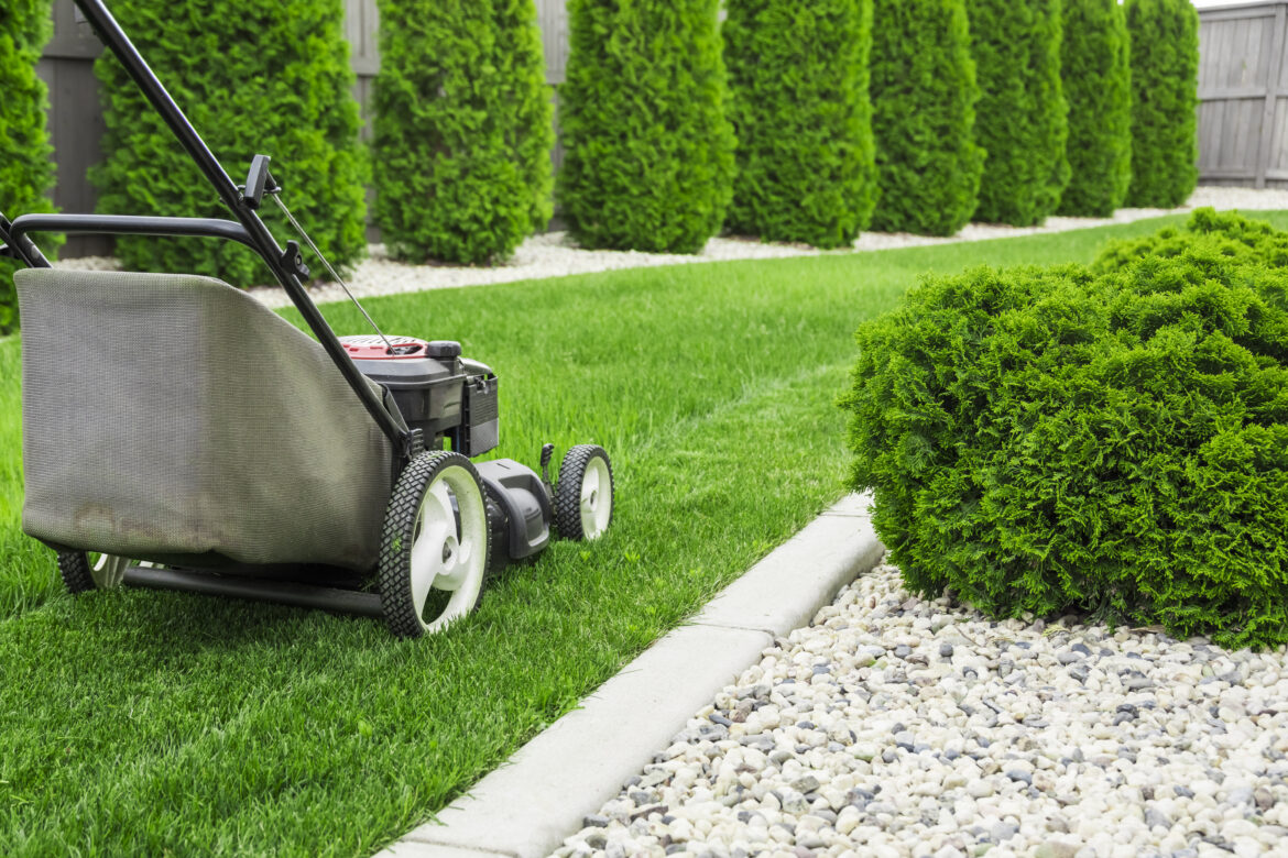 7 Landscaping Tips as Summer Transitions into Fall